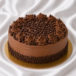 Chocolate chip cake with creamy chocolate
frosting and chocolate chips on top